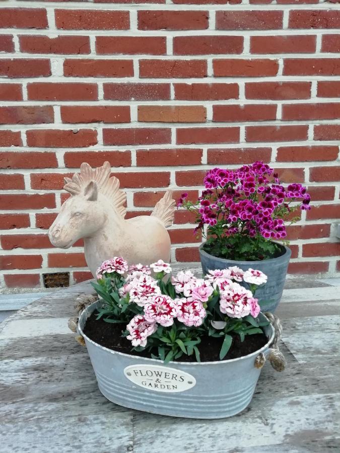Wings Creek Ranch B&B Zutendaal Esterno foto